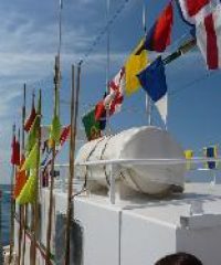 AMAP Poissons Calipazo