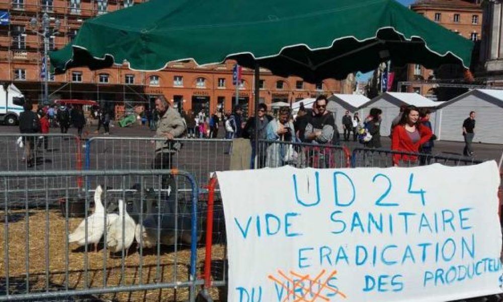 Paysan bio impacté par la grippe aviaire