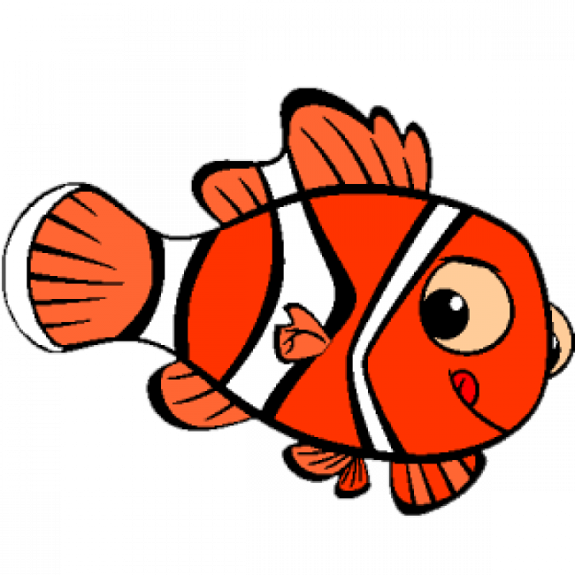 AMAP Poisson: Film et Echanges