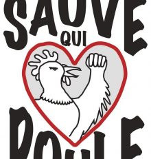 Grippe aviaire: les élevages plein air concernés ?