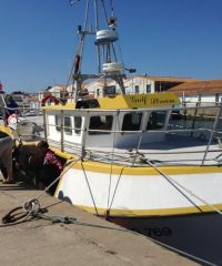 AMAP Poisson de Bouvron