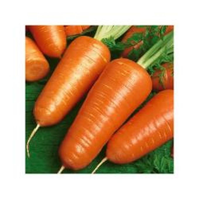 La carotte de Chantenay