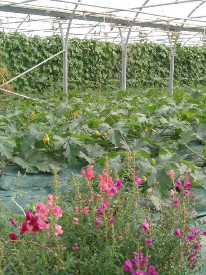 GAEC des Cinq Chemins