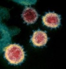 Vos réunions ou AG avec l&rsquo;abonnement ZOOM PRO de l&rsquo;interAMAP44