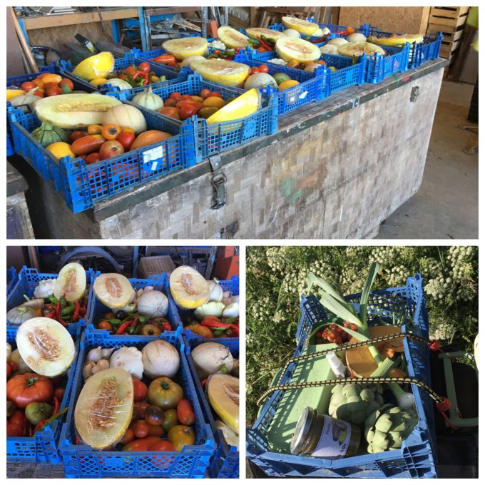 AMAP de Saint-Brévin