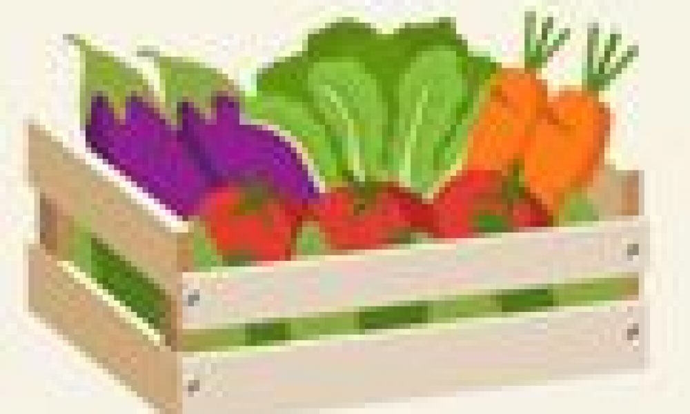 Nouvelles règles pour les paysans avec la plateforme numérique « Cagette »