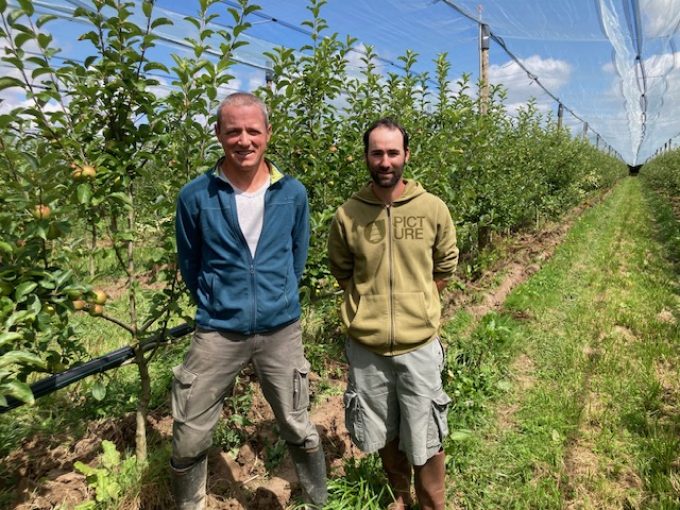 Le verger de la petite rainette