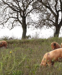 Ferme de la Loquerie