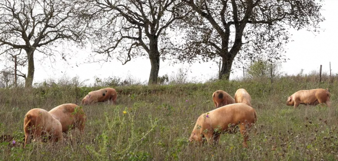 Ferme de la Loquerie