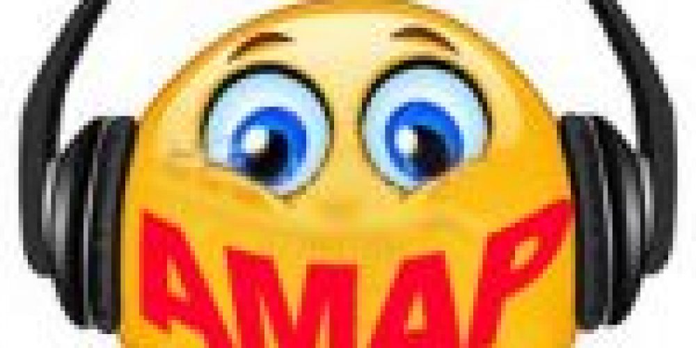 Débat contradictoire Ruche / AMAP sur les ondes de la radio nantaises JET FM – septembre 2016