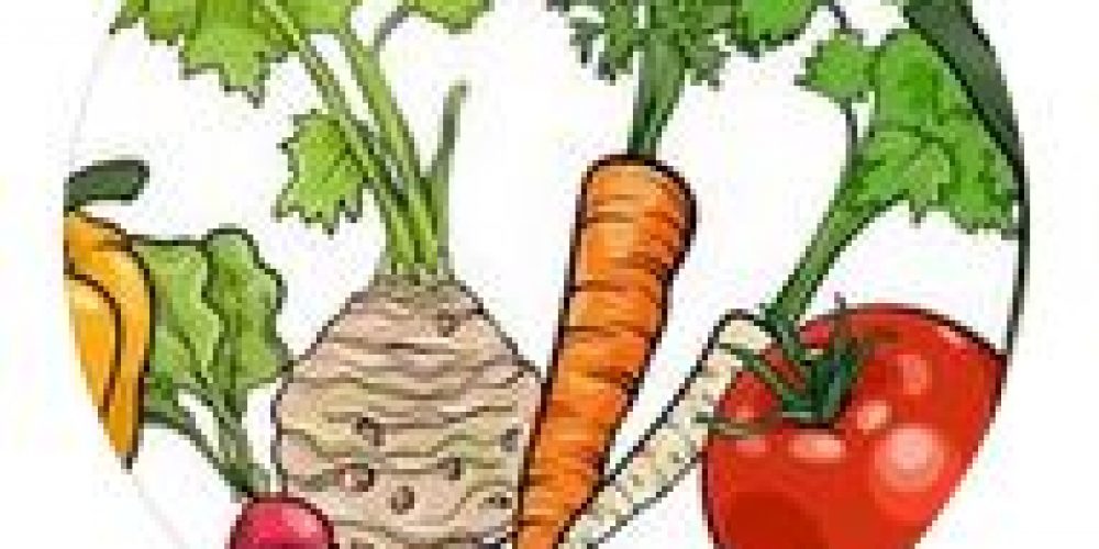 Projet de conserverie de légumes en contrat AMAP