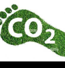 Projet d’empreinte Carbone en AMAP