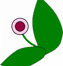 2% des familles en Loire atlantique mangent autrement dans le réseau des AMAP 44