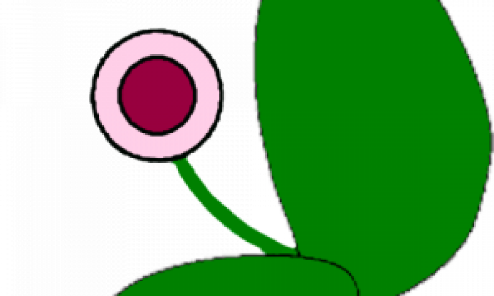 Il y a forcement une AMAP près de chez vous