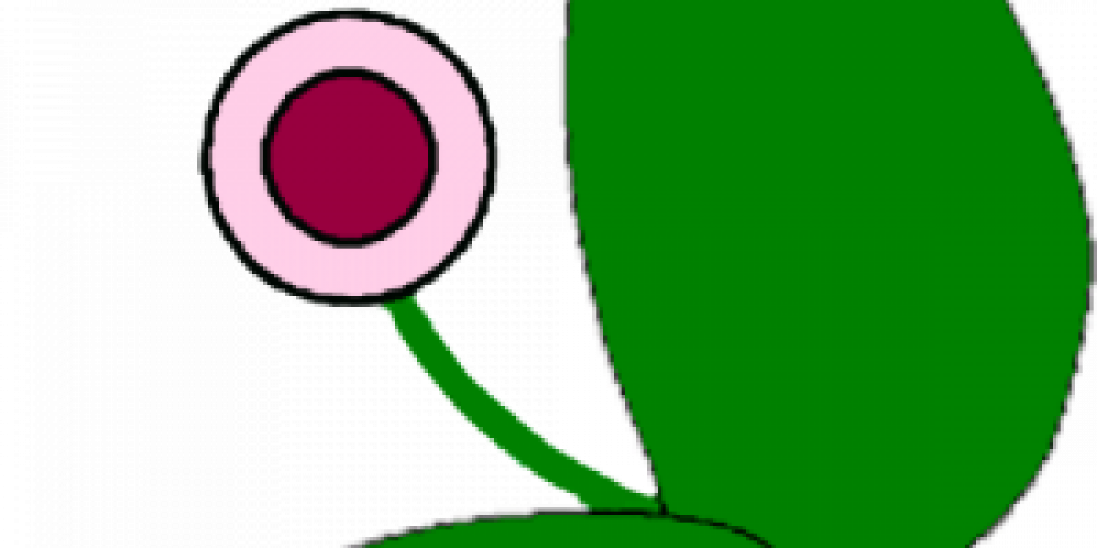 2% des familles en Loire atlantique mangent autrement dans le réseau des AMAP 44