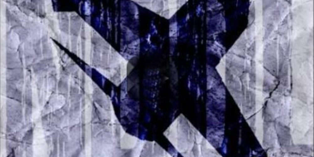 Notre-Dame des oiseaux de fer