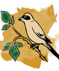 FANNETTE ET LA RONCE