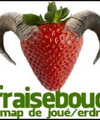 AMAP Fraise.bouc