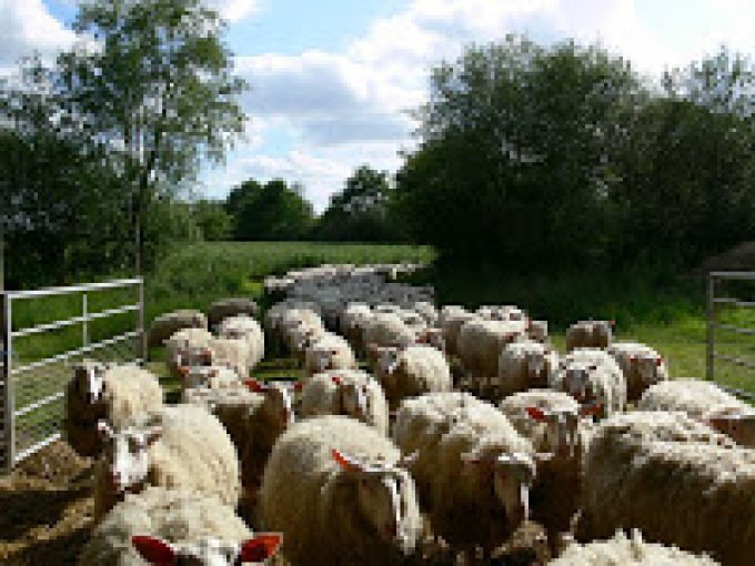 Ferme de la Mer de L&rsquo;Isle