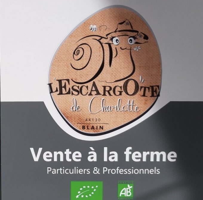 L&rsquo;escargote de Charlotte