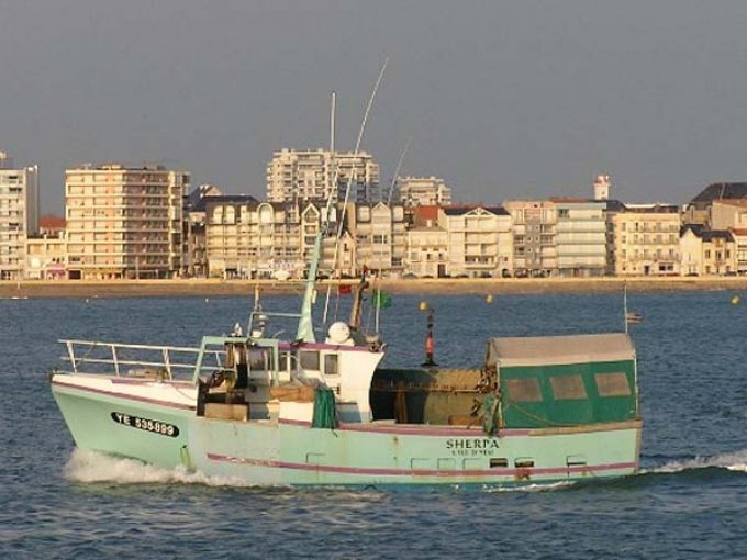 AMAP poisson Erdre &amp; Loire