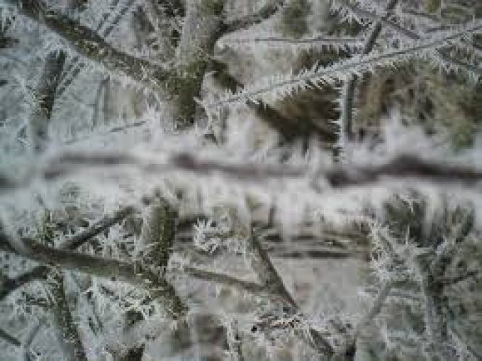 VERGER DE L&rsquo;EPINAY