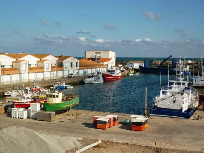 AMAP Poissons St Herblain Bourg – St Herblain Tillay – Couëron – Petit Breton