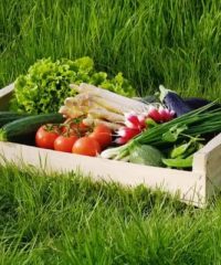 AMAP de l&rsquo;Eraudière