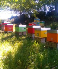 Ferme du Chat qui Danse