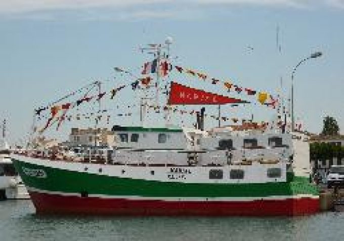 AMAP Poisson du Vignoble