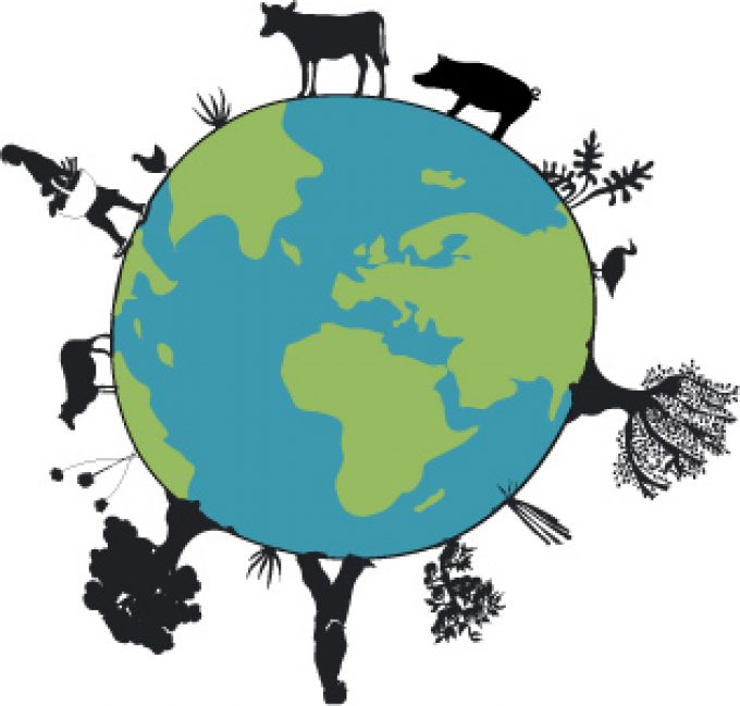 AMAP   Hommes de Terre