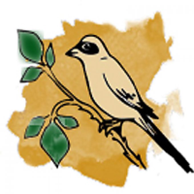 FANNETTE ET LA RONCE