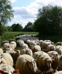 Ferme de la Mer de L&rsquo;Isle