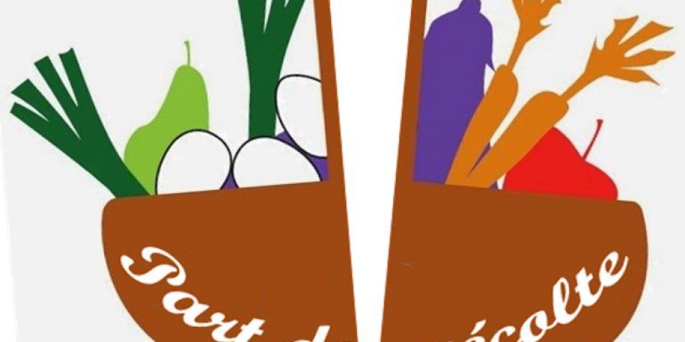 COMMENT DÉFINIR LA PART DE RÉCOLTE DISTRIBUÉE EN AMAP ?