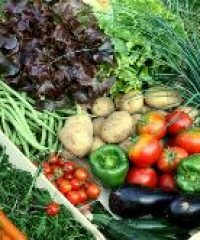 AMAP de l&rsquo;Artuzière