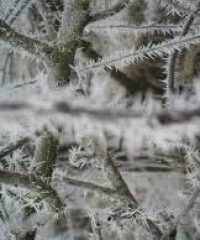 VERGER DE L&rsquo;EPINAY