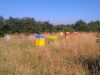 Rucher
