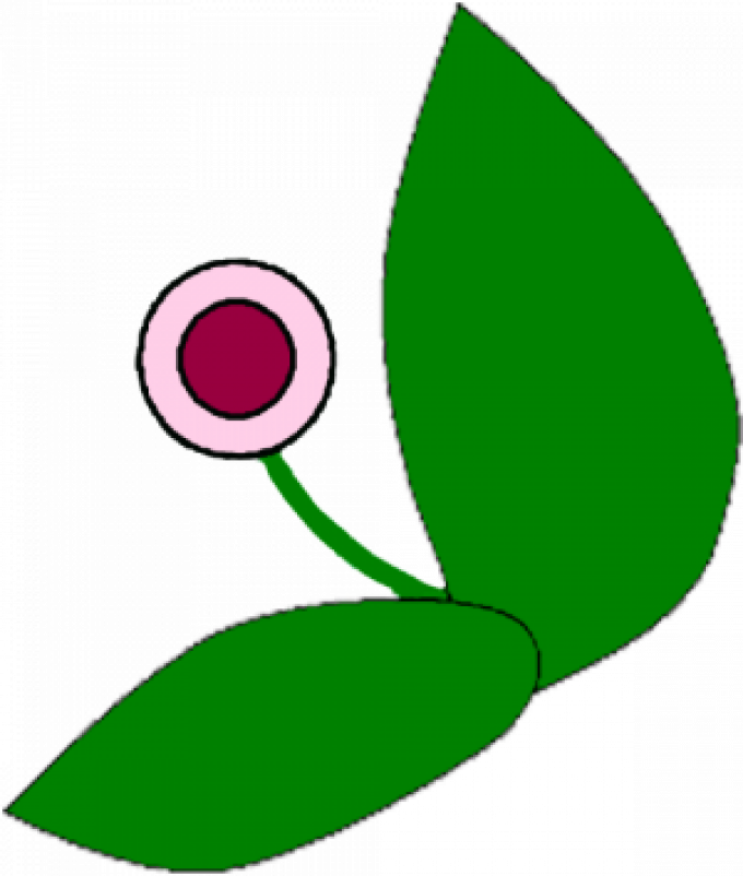 AMAP de Couëron