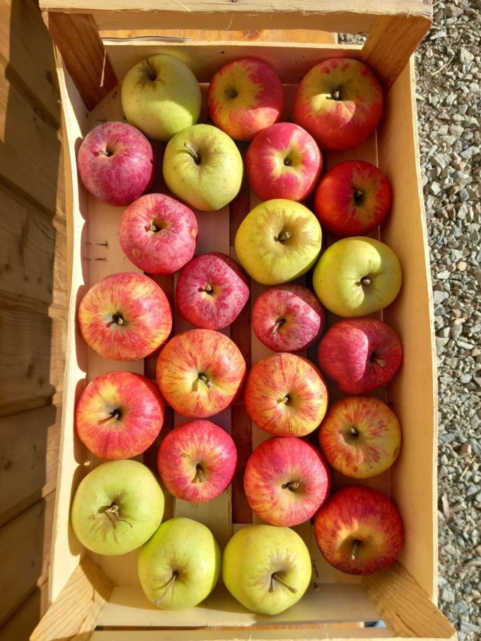 pommes