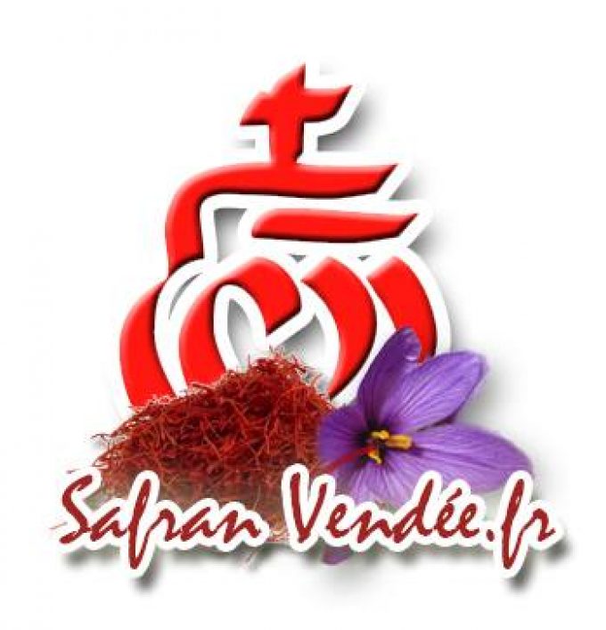 Safran Vendée