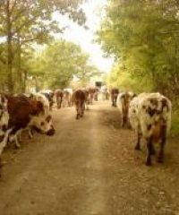 FERME de Rublé
