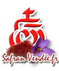 Safran Vendée